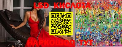 ГАЛЛЮЦИНОГЕННЫЕ ГРИБЫ Ипатово