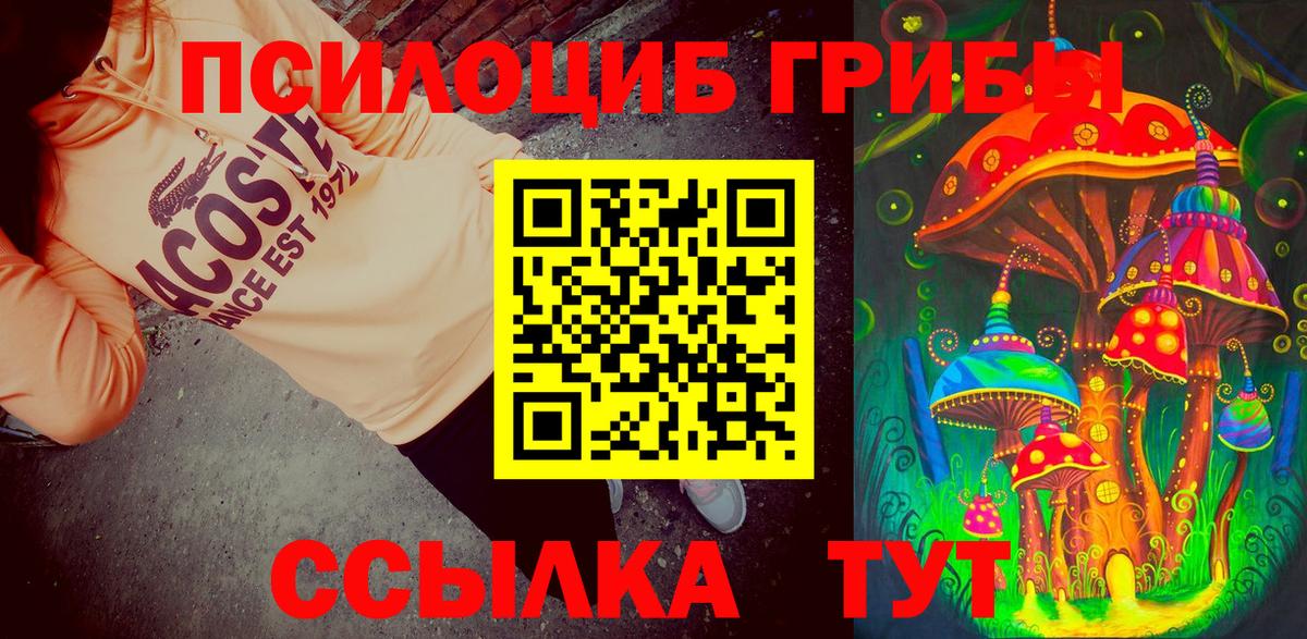 Псилоцибиновые грибы GOLDEN TEACHER Ливны