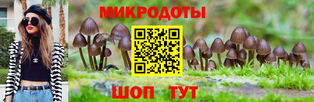 Галлюциногенные грибы GOLDEN TEACHER  Вход с VPN  Псилоцибиновые грибы Magic Shrooms  Ливны 